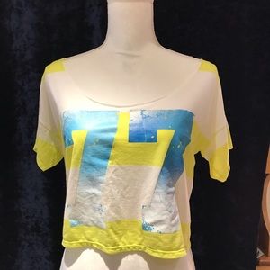 American Eagle Crop Top